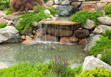 Pond & water fall